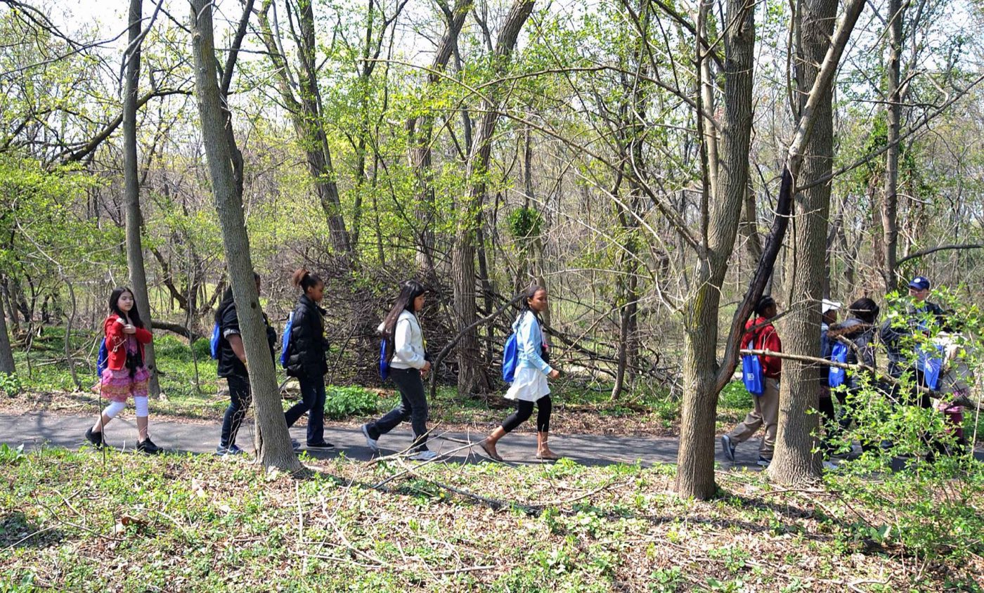 Children exploring a woodland path