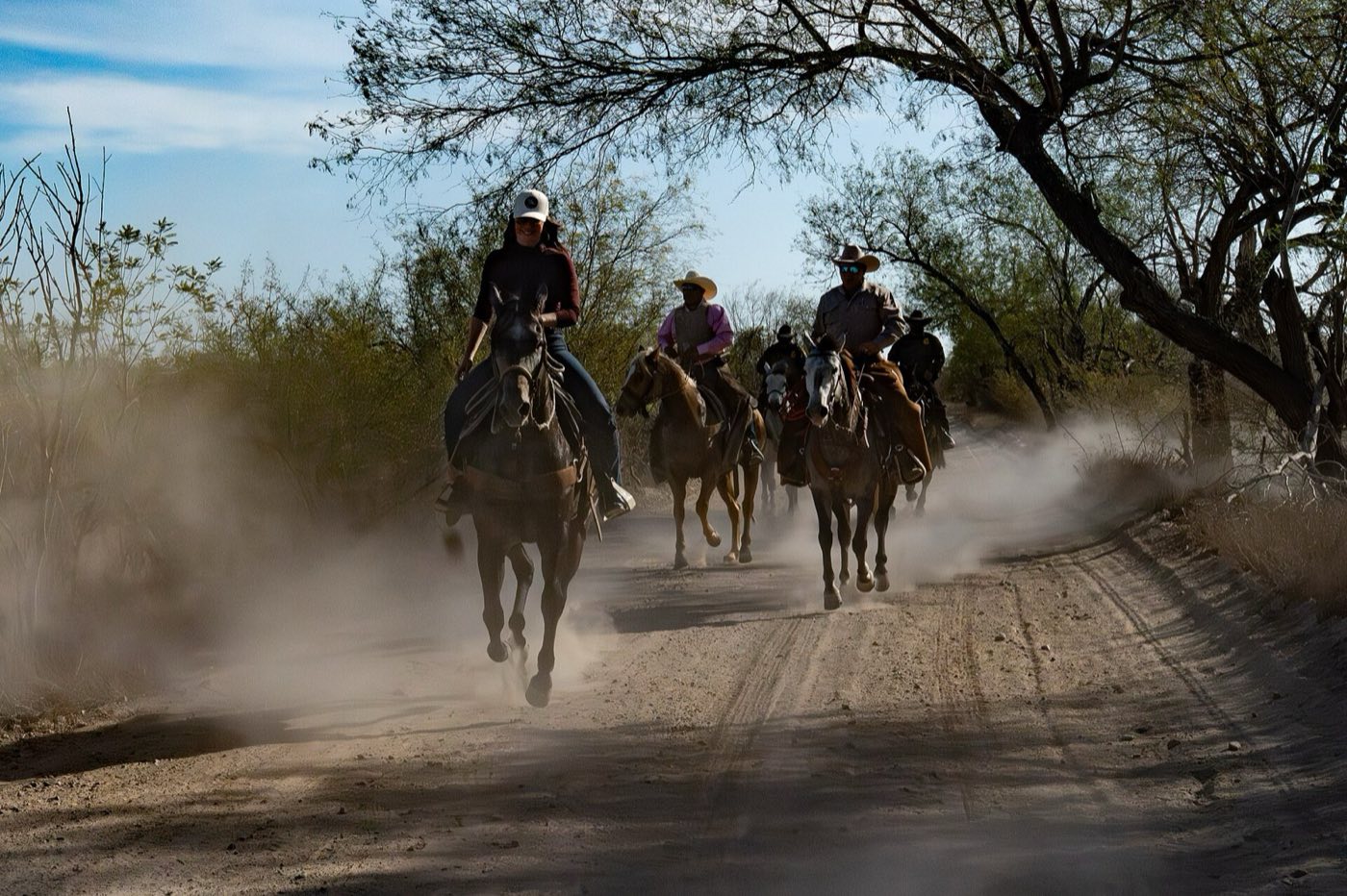 A rancher working cattle on horseback